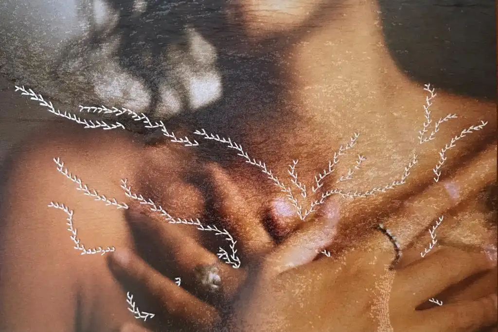 Exposição fotográfica com artistas joseenses começa nesta quinta, dia 14