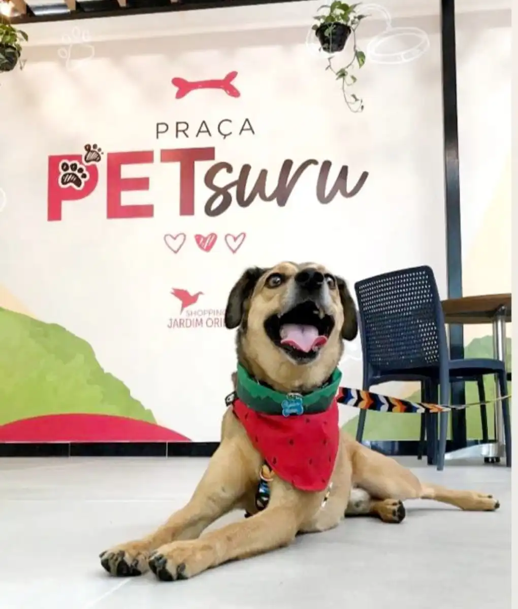 Shopping Jardim Oriente Promoverá o Dia da Saúde Pet e Seus Tutores