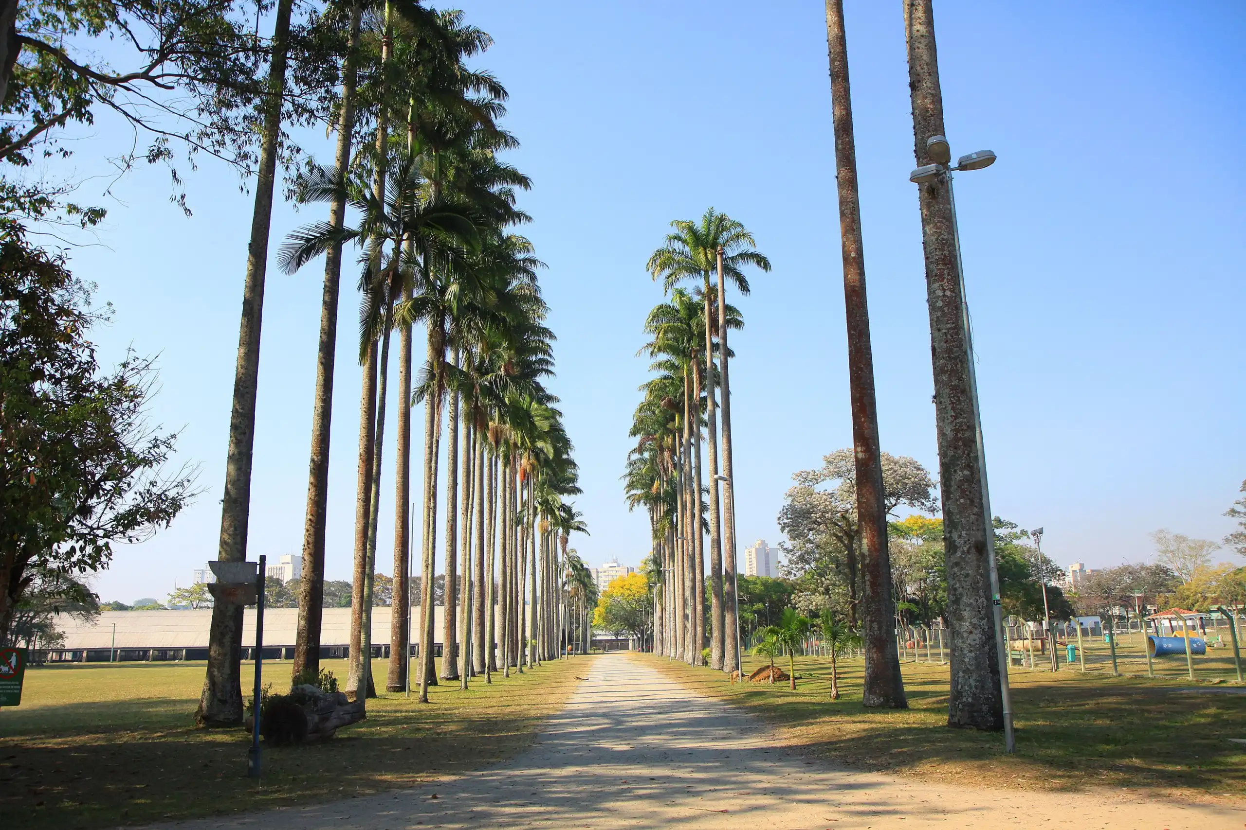 Tradicional festa junina no Parque da Cidade retorna após 4 anos