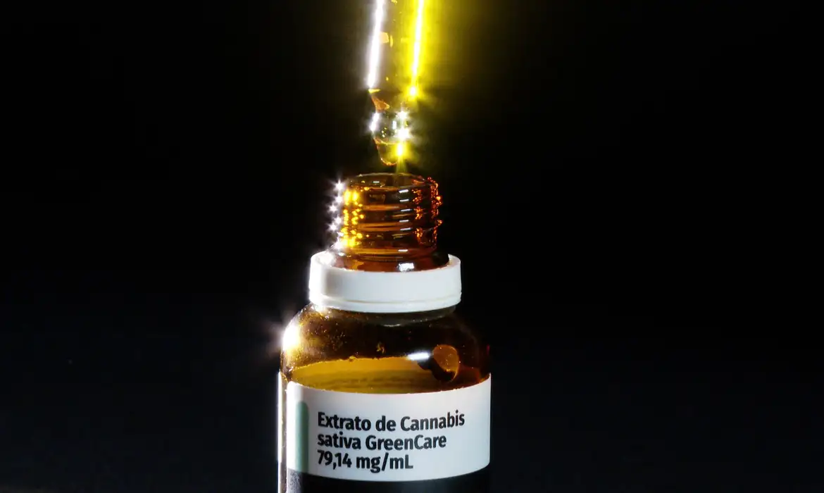 Anvisa autoriza produção nacional de cannabis medicinal e amplia regras para uso de canabidiol