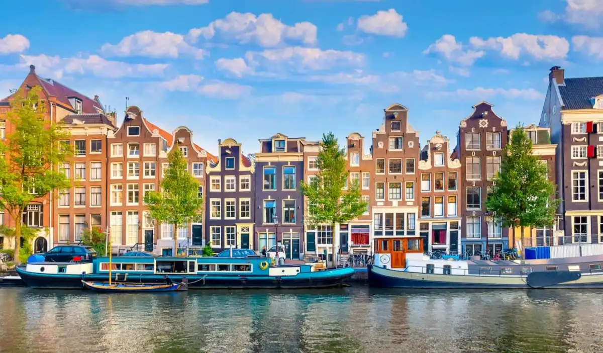 Amsterdã adota telhados verdes para enfrentar chuvas extremas