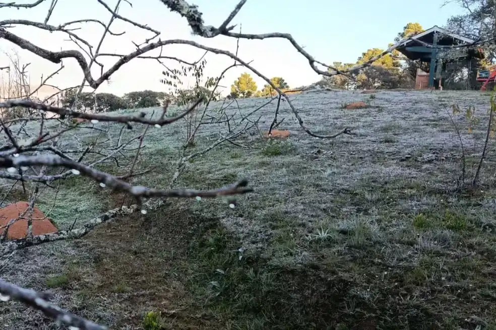 Campos do Jordão tem segunda menor temperatura do ano e registra geada neste sábado (6)