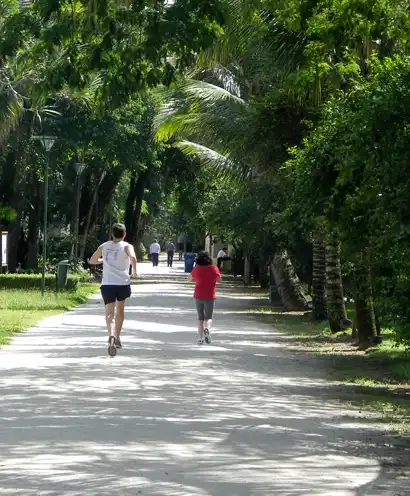 Vale do Paraíba oferece parques públicos com infraestrutura para caminhada, esporte e lazer ao ar livre