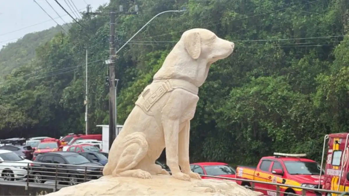 Primeiro cão Guarda-vidas do país ganha monumento