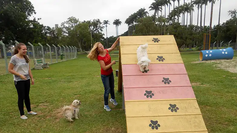 Brasileiros destinam 8% do orçamento familiar a animais de estimação, aponta pesquisa