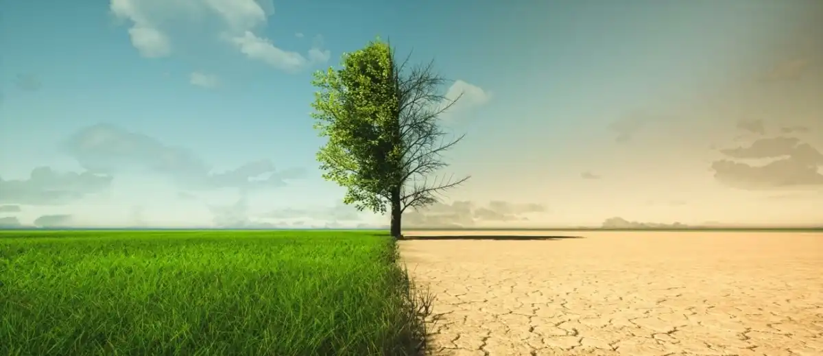 Dia Mundial do Meio Ambiente: Restauração de terras, desertificação e resiliência à seca