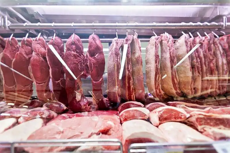 União Europeia confirma veto a carnes e produtos de origem animal do Brasil com início em setembro