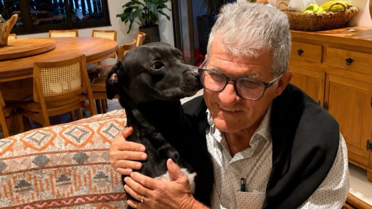 Cachorro de rua vira mascote de feira e é adotado por empresário