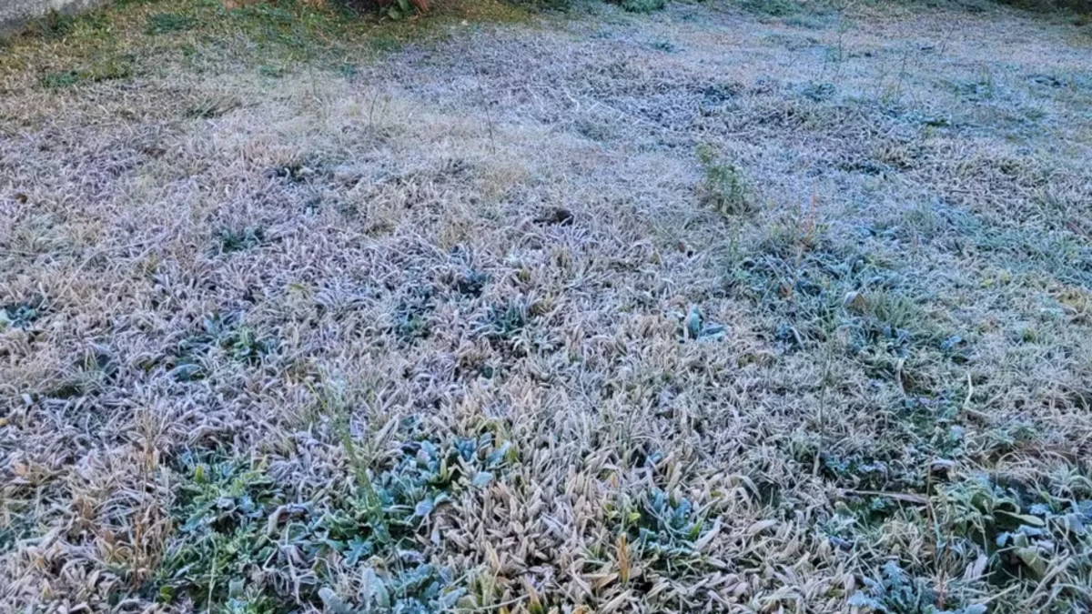 Geada volta a cobrir Campos do Jordão e cidade registra mínima de 4,5°C