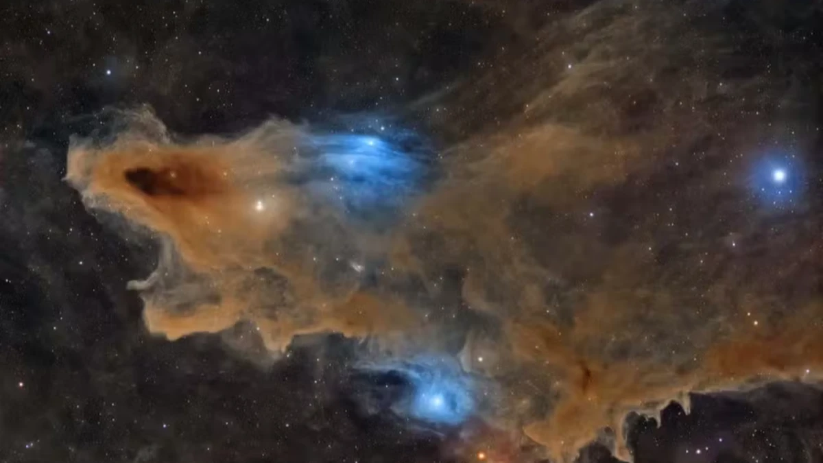 Concurso elege melhores fotos do céu; vencedora registra “Tubarão” cósmico