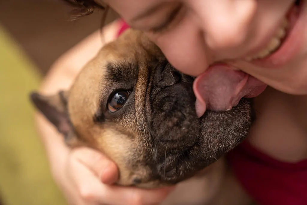 Pets fazem tão bem à saúde quanto amigos e família, aponta estudo