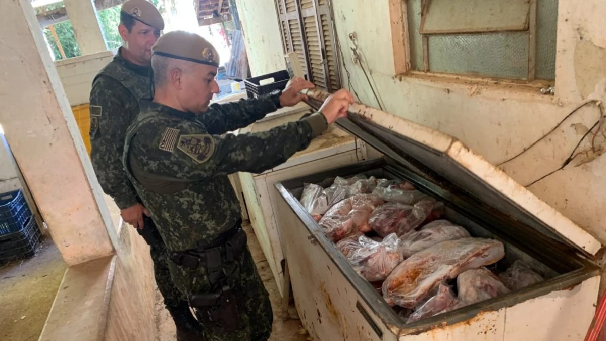 PM apreende 800 kg de carne imprópria e prende homem em açougue clandestino em Jacareí