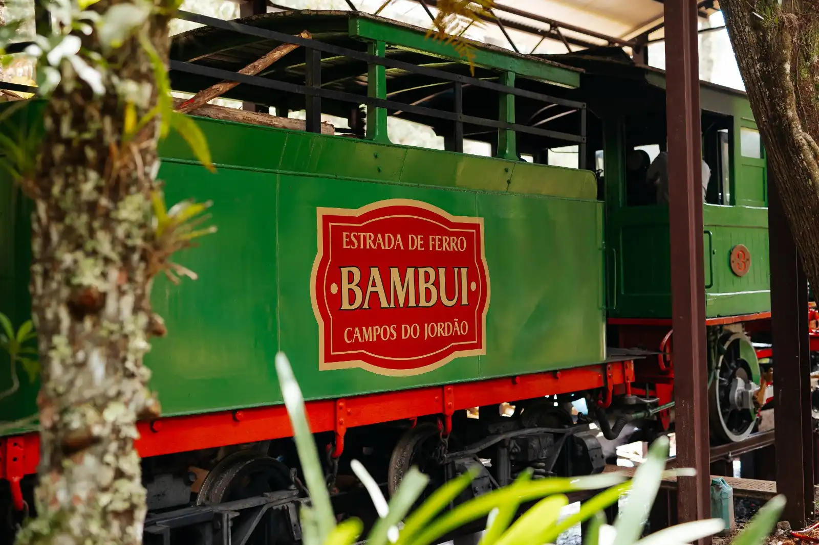 Dia das Crianças no Parque Bambuí terá entrada gratuita em Campos do Jordão