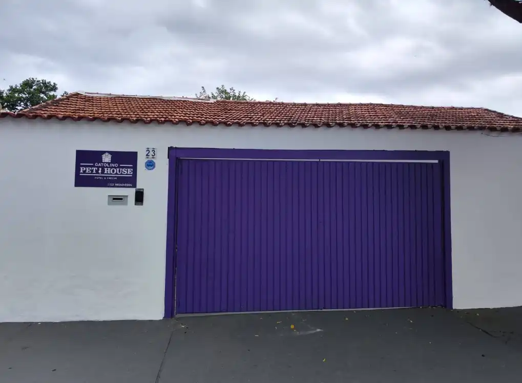 Denúncia viraliza no Tiktok ao expor cachorros molhados e com frio em pet hotel, na Vila Ema, em SJC