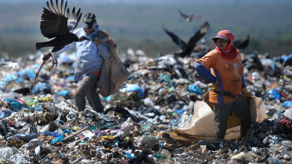 Estudo da Unesp encontra compostos associados ao câncer em resíduos recicláveis