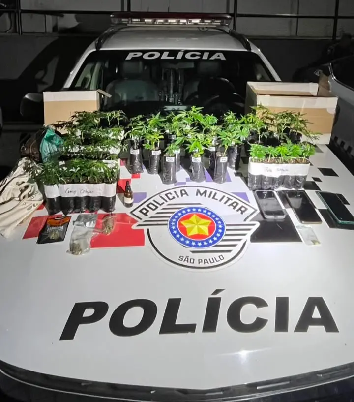 Mulher é presa e PM apreende 55 mudas de maconha em São José dos Campos
