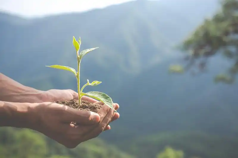 Sabesp celebra Dia do Meio Ambiente com atividades e serviços em todo o Estado