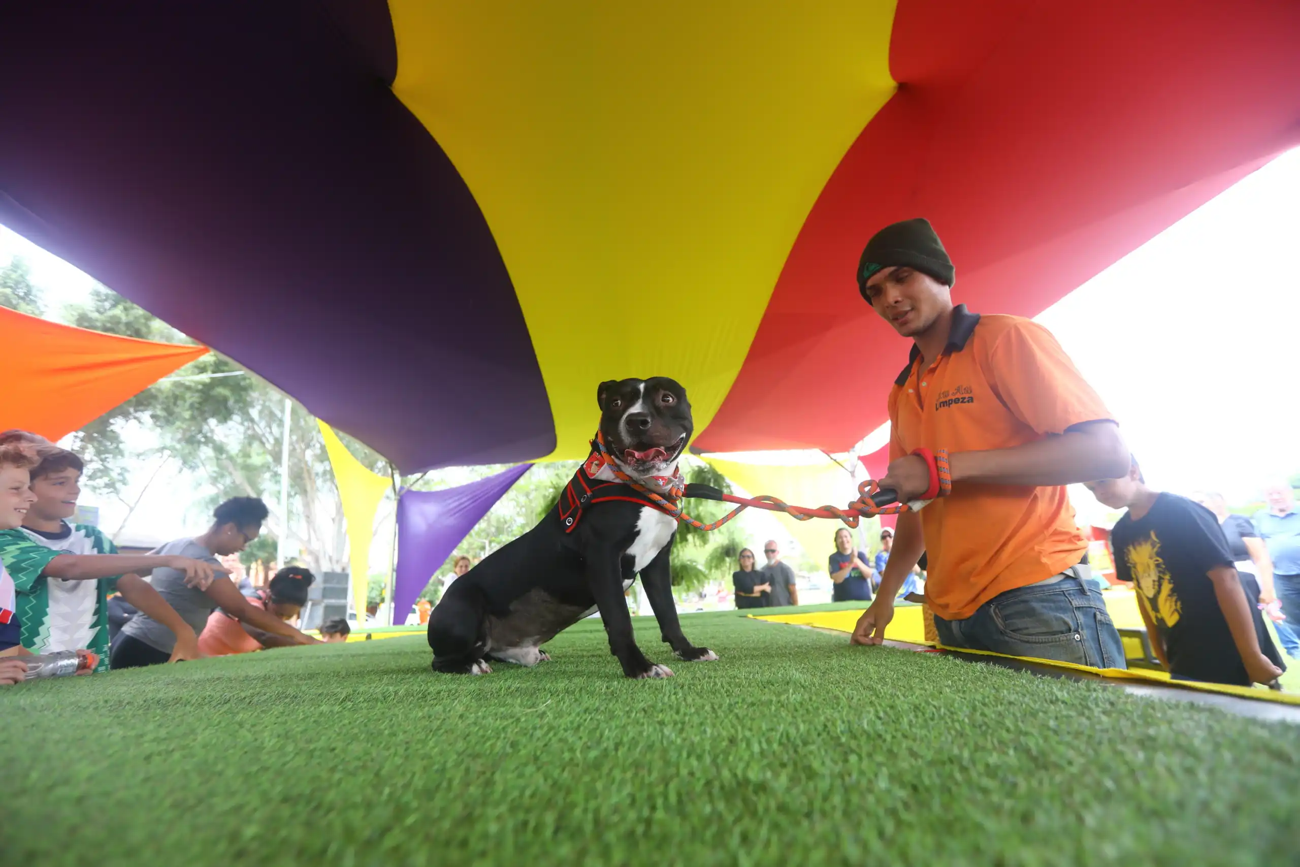 Caminhada com cães acontece em São José