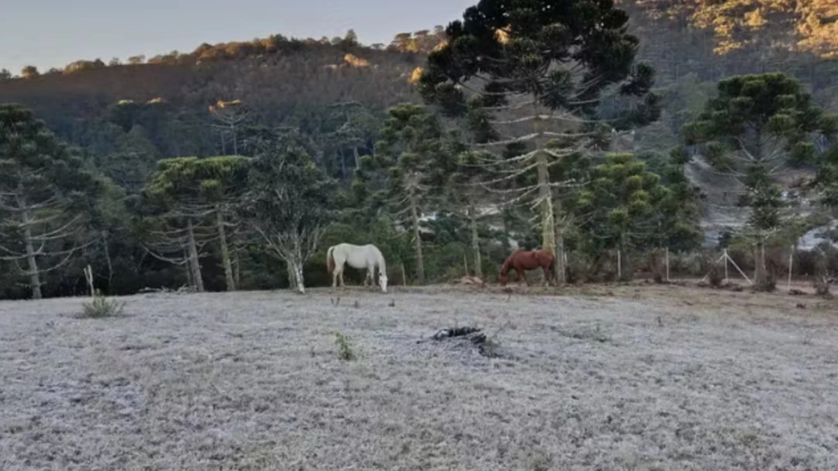 Geada volta a cobrir Campos do Jordão após madrugada de 2,1°C