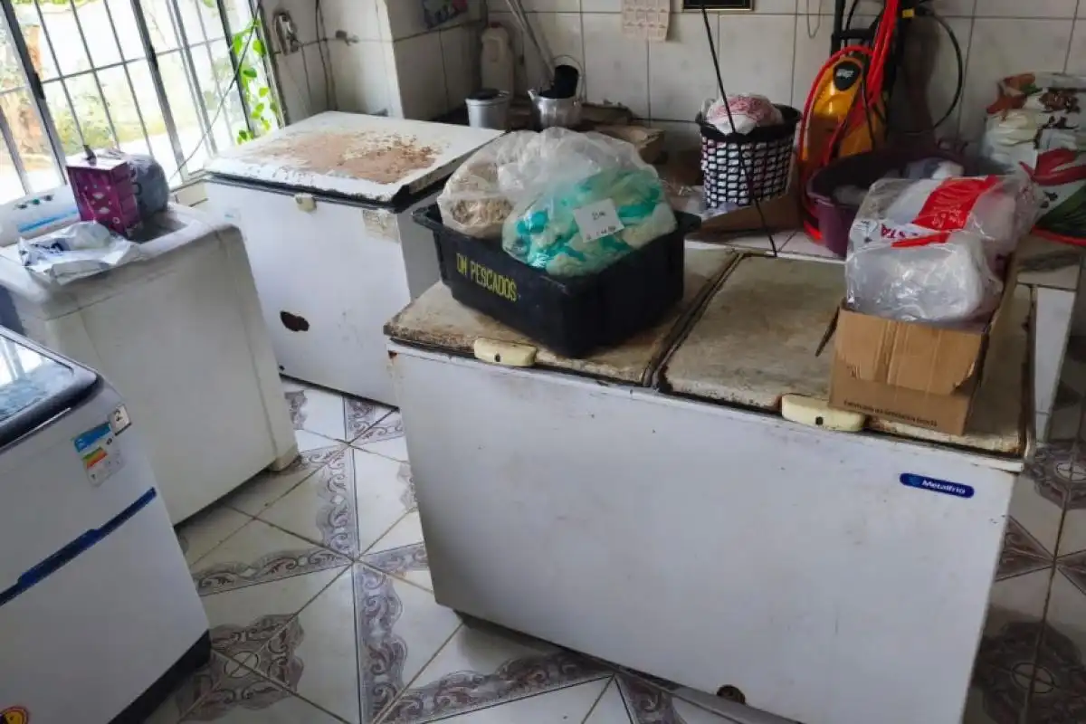 Matadouro clandestino com 700 kg de carne é fechado e homenssão presos em Jacareí