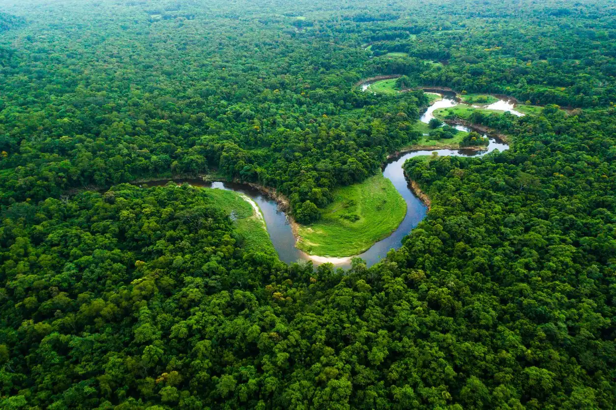 Países amazônicos anunciam monitoramento conjunto da floresta 