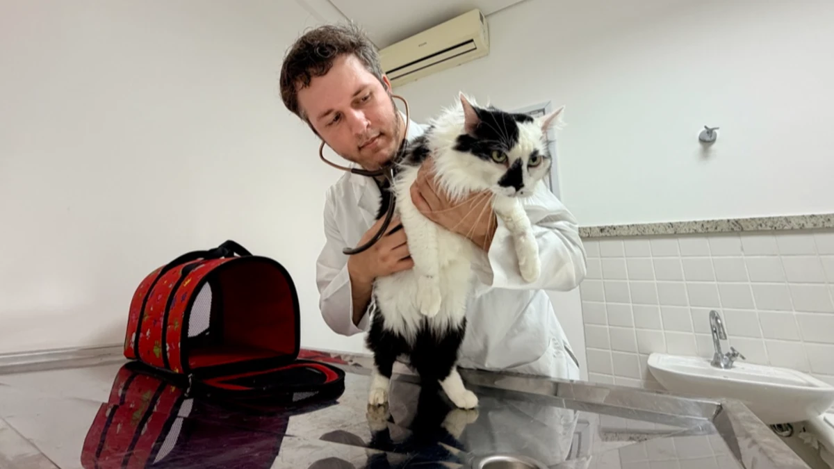 Hospital Veterinário de São José iniciará vacinação e microchipagem