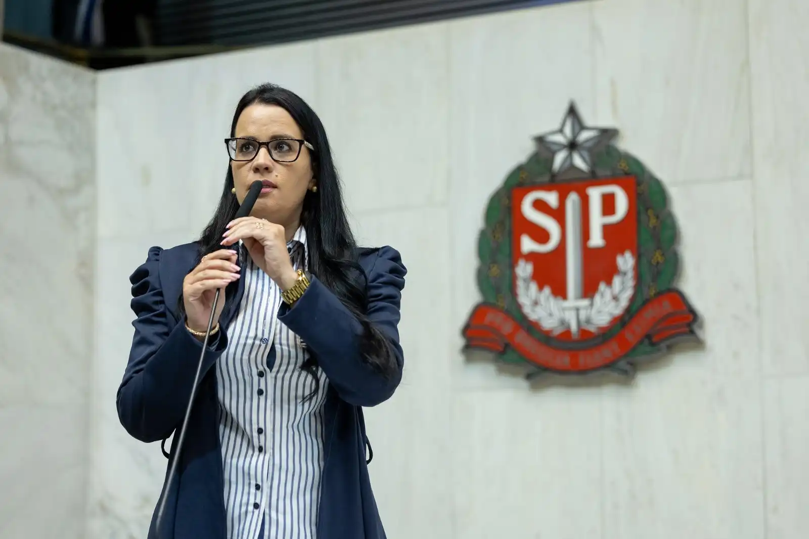 Leticia Aguiar cobra providências da Sabesp em São José durante audiência na ALESP