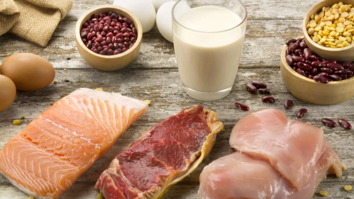Proteína animal ou vegetal: entenda qual é melhor para ganhar músculos