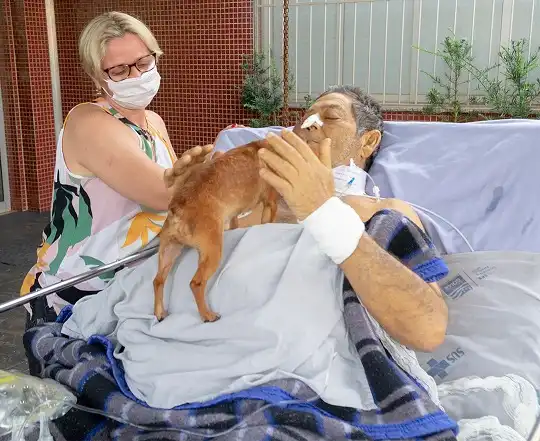 Deputados analisam projeto para liberar visitas de animais em hospitais