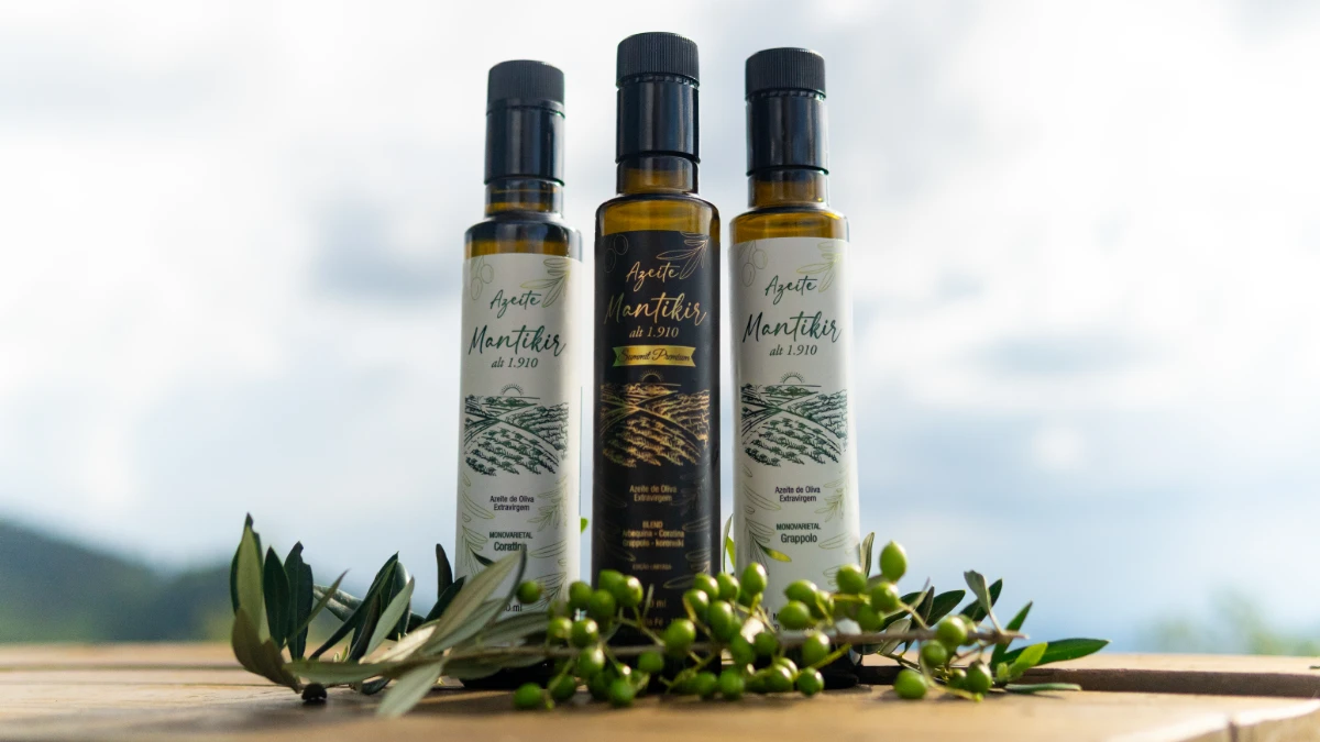 Vinícola Essenza conquista três medalhas Grand Prestige Gold no TerraOlivo em Israel