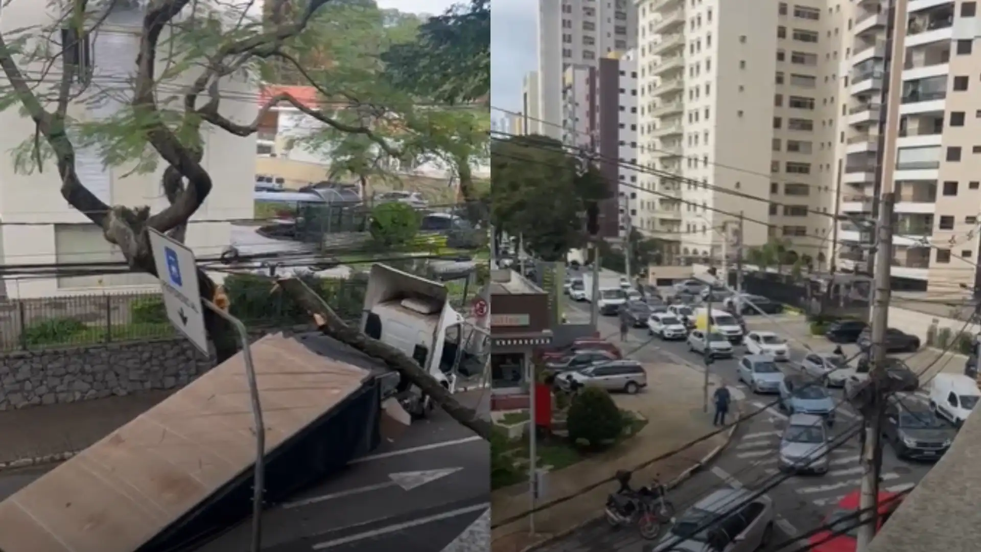 Caminhão atinge árvore e interdita totalmente a avenida São João em São José dos Campos