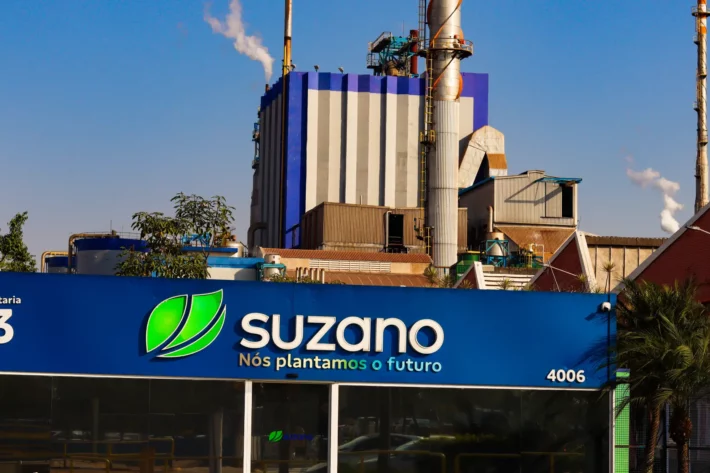 Suzano abre inscrições para programa de estágio com vagas em Jacareí