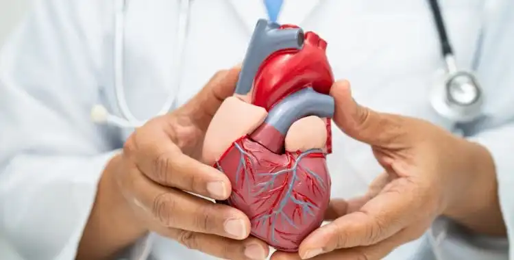 Estudo oferece tratamento gratuito para pessoas com histórico cardiovascular