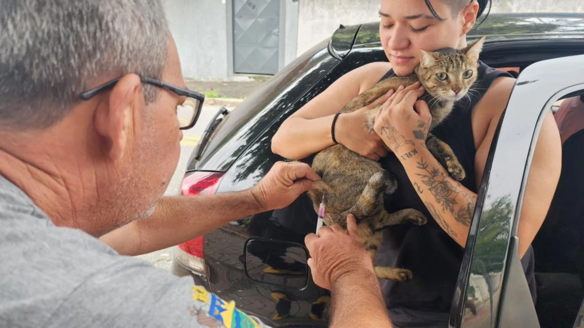 Vacinação antirrábica gratuita para cães e gatos acontece nesta quarta (29) em Taubaté