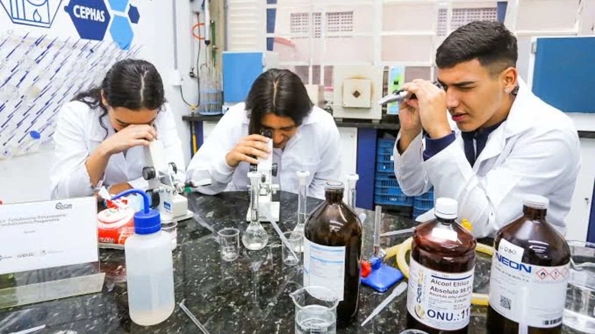 Cephas abre 2 mil vagas em cursos gratuitos de qualificação profissional