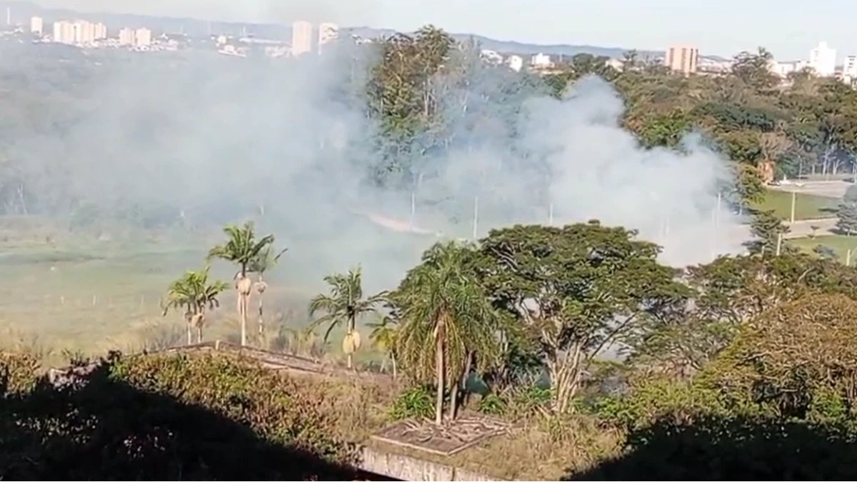 Área próxima à tecelagem no Parque da Cidade pega fogo em SJC
