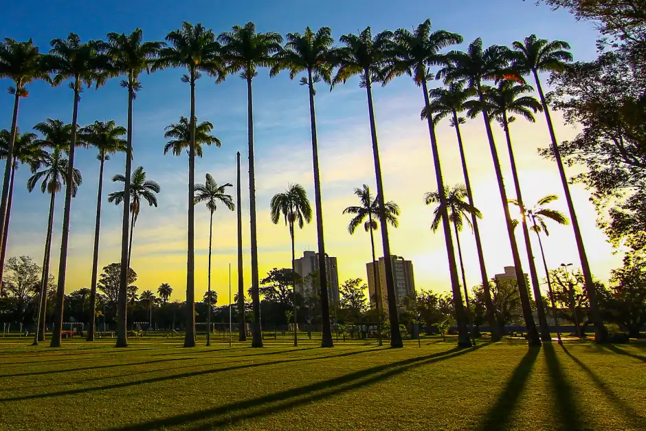 Festa da Bondade acontece no Parque da Cidade em São José dos Campos