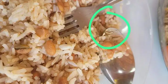 Câmara de Ubatuba barra abertura de CEI para investigar merenda escolar