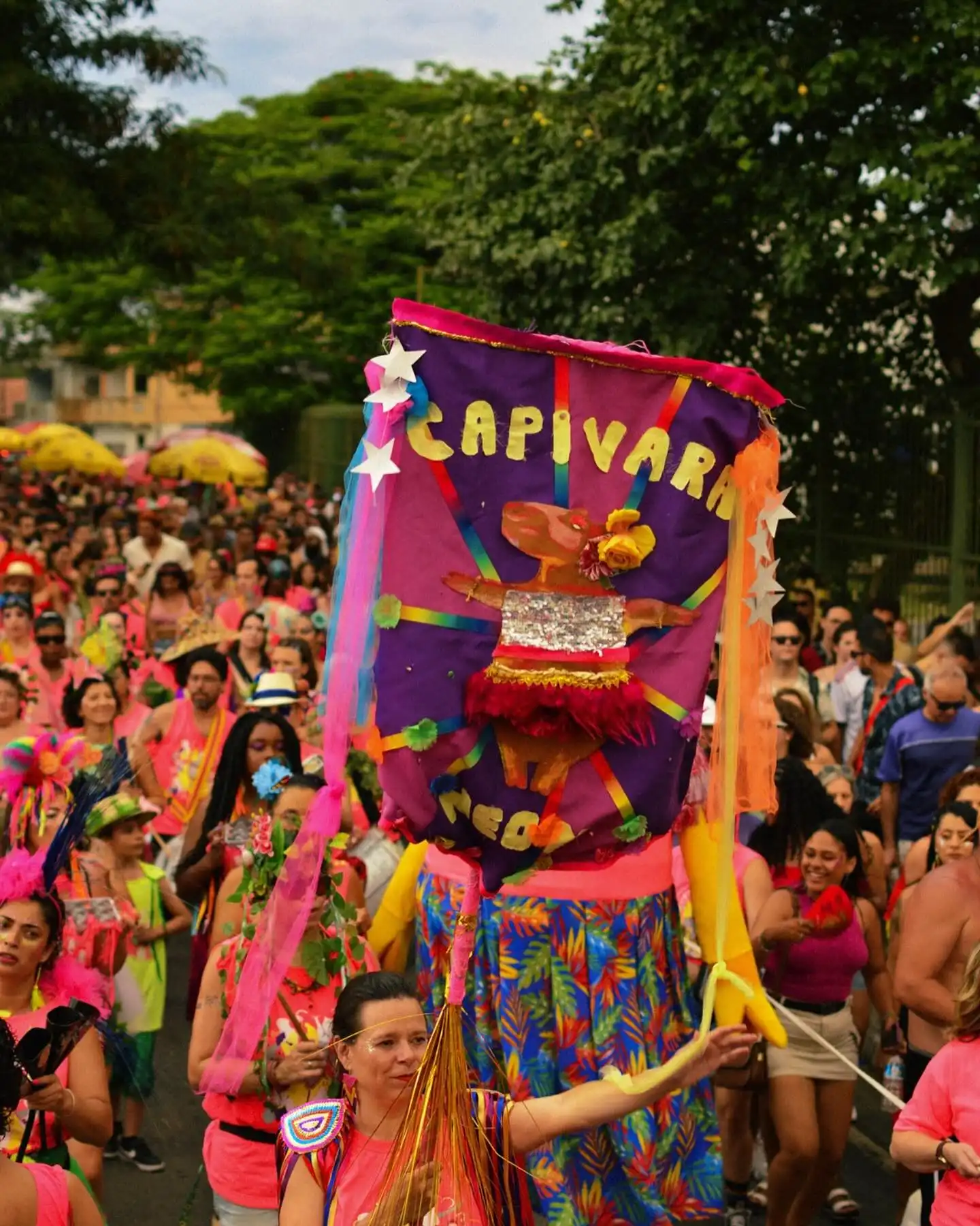 Carnaval de Jacareí 2026 terá blocos de rua e festas em espaços fechados; Confira