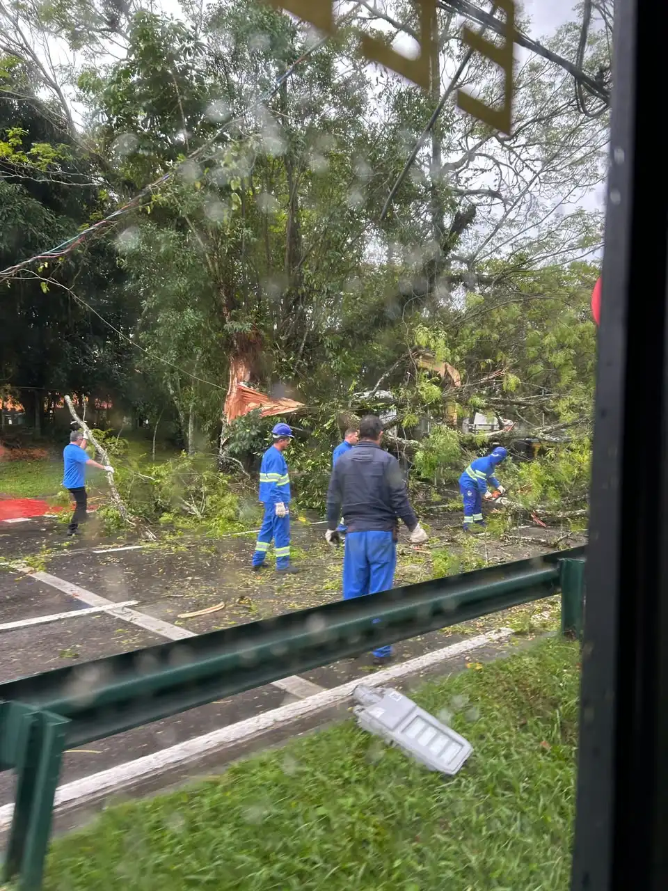Tempestade derruba árvore de grande porte no Urbanova e provoca ocorrências em outras sete regiões de São José dos Campos